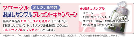 �������T���v���v���[���g�L�����y�[��